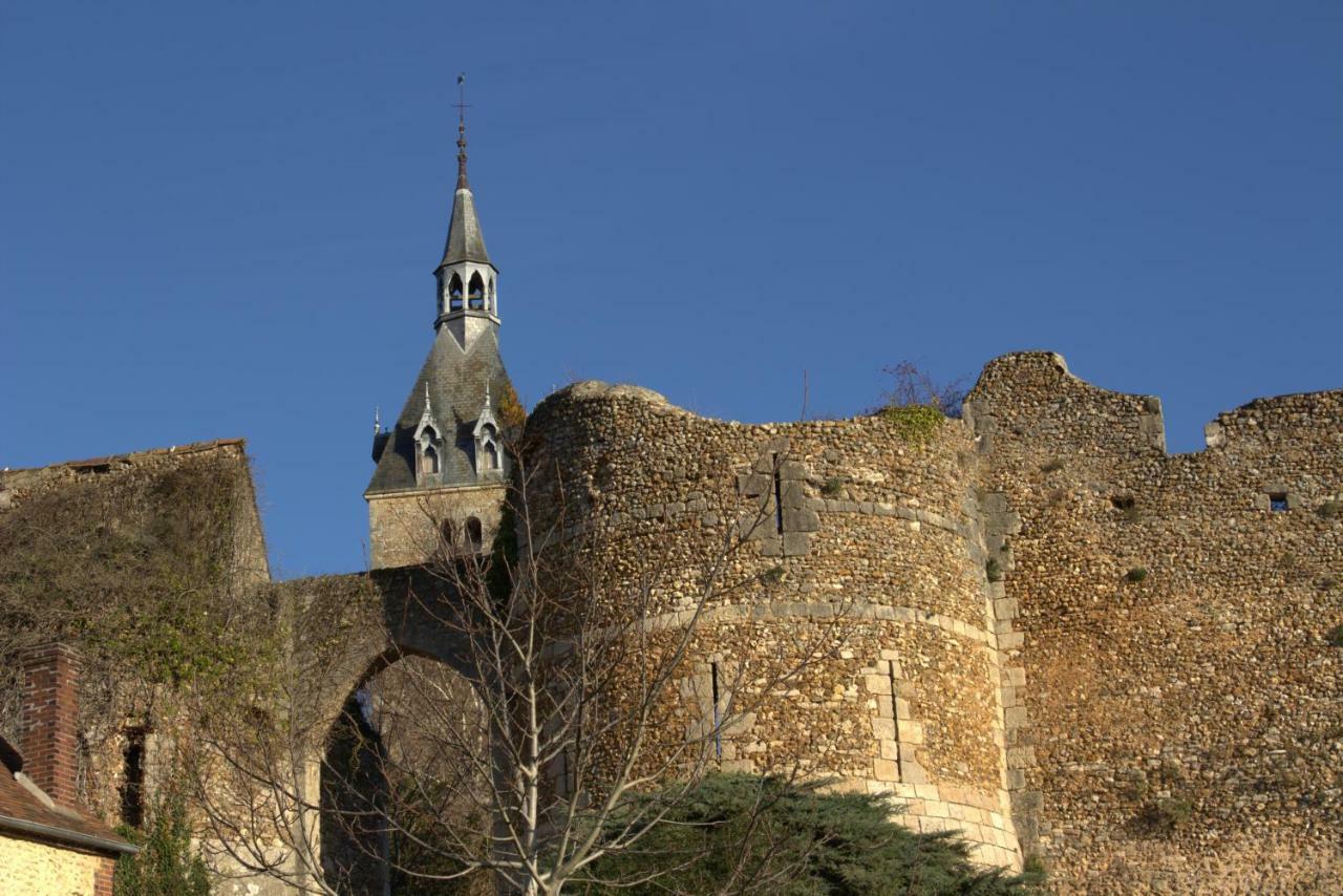 Gite "La Mesangerie" Villa Château-Renard Buitenkant foto